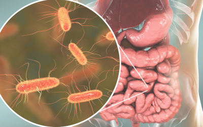 Where Are the Good Guys? Understanding Microbial Imbalance